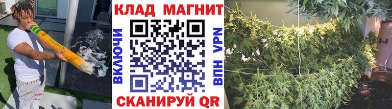Какие есть наркотики Кушва Бошки Шишки МЕФ АМФ МЕТАМФЕТАМИН Кокаин Alpha PVP Гашиш