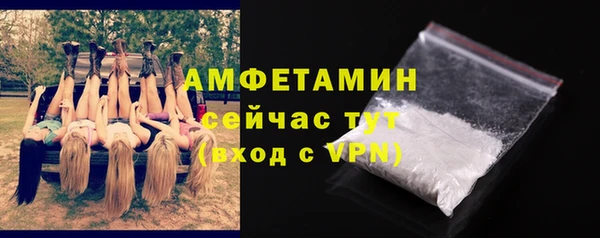 шишки Пересвет