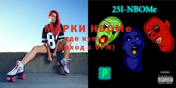 шишки Пересвет