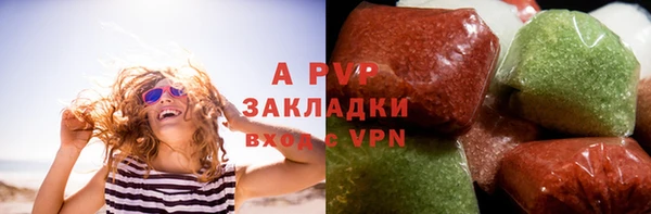 шишки Пересвет