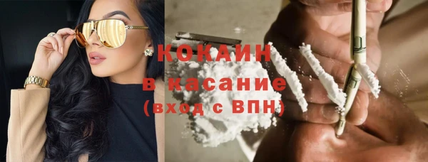 шишки Пересвет
