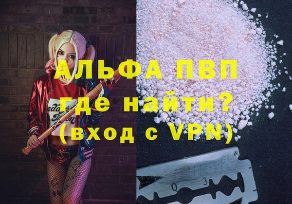 шишки Пересвет