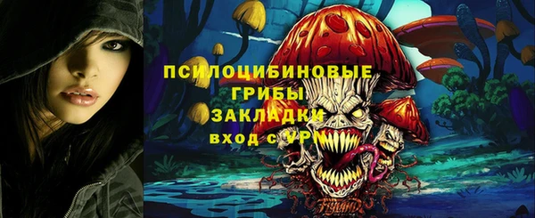 шишки Пересвет