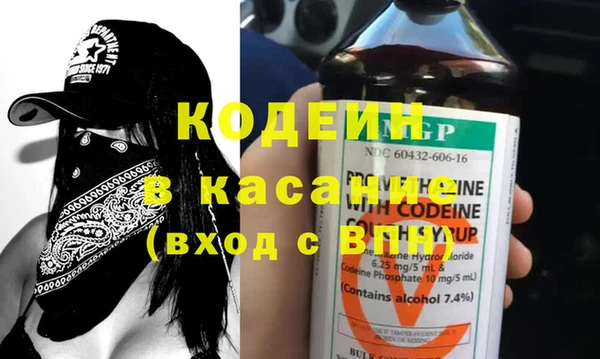 шишки Пересвет