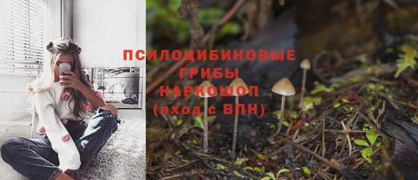 соль курить ск Переславль-Залесский