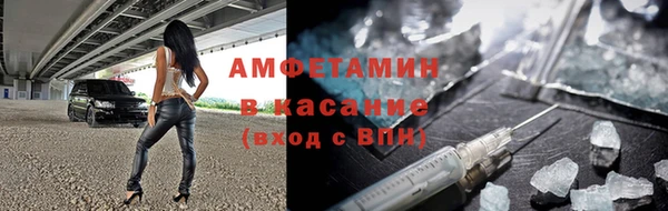 шишки Пересвет