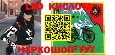 крисы Гусев