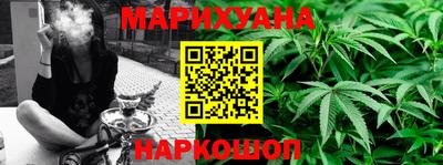 крисы Гусев