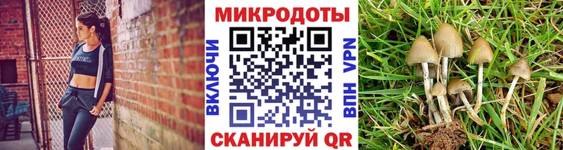 Псилоцибиновые грибы MAGIC MUSHROOMS Кушва