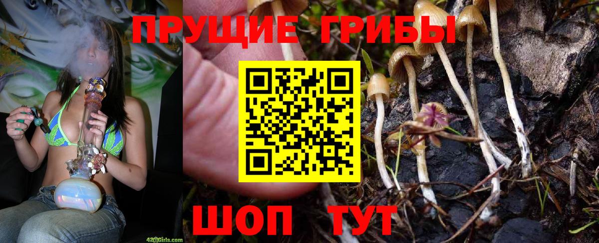 Галлюциногенные грибы Psilocybine cubensis Кушва
