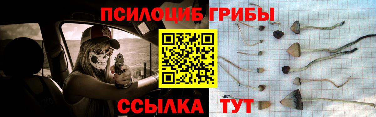Галлюциногенные грибы GOLDEN TEACHER  Кушва  Галлюциногенные грибы Magic Shrooms 