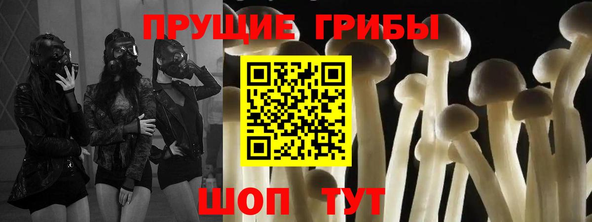 Кушва  Галлюциногенные грибы Psilocybine cubensis  Вход с VPN 